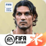 8x8小皇冠国产